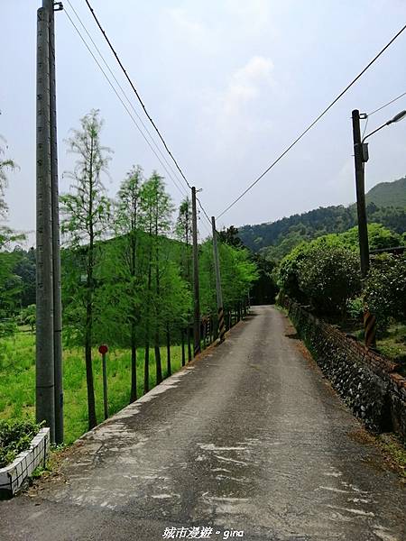 IMG_20210402_121204.jpg IMG_20210402_121204.jpg