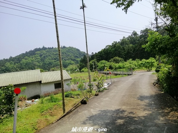 IMG_20210402_121343.jpg IMG_20210402_121343.jpg