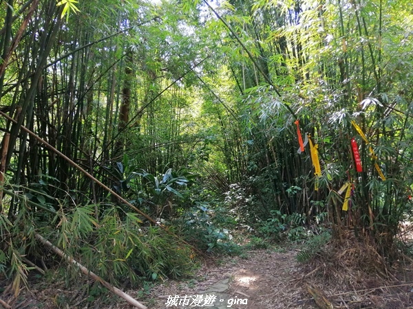 IMG_20210402_121514.jpg IMG_20210402_121514.jpg