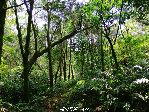 IMG_20210402_121709.jpg IMG_20210402_121709.jpg