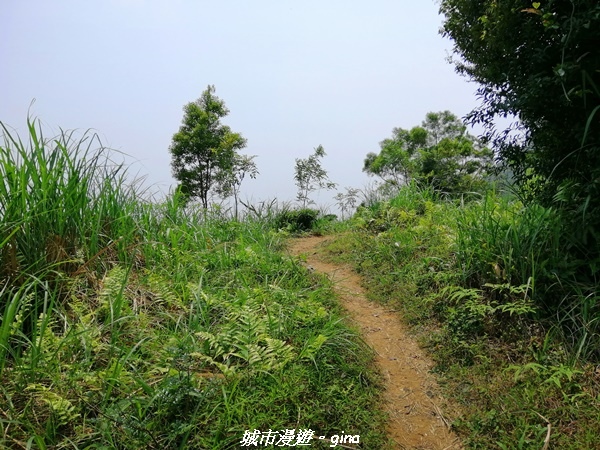 IMG_20210402_122259.jpg IMG_20210402_122259.jpg