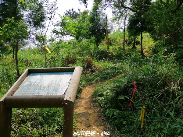 IMG_20210402_122158.jpg IMG_20210402_122158.jpg