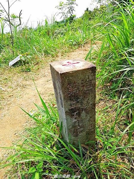 IMG_20210402_122319.jpg IMG_20210402_122319.jpg