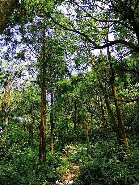 IMG_20210402_121817.jpg IMG_20210402_121817.jpg