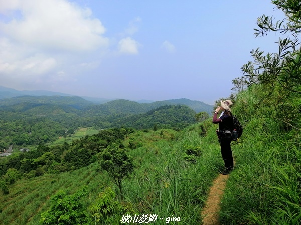 IMG_20210402_123935.jpg IMG_20210402_123935.jpg