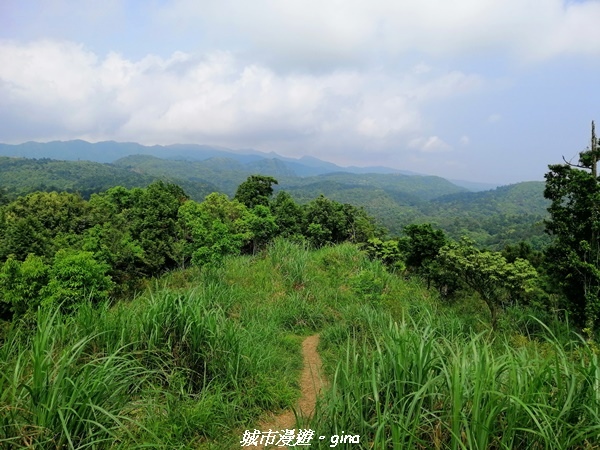 IMG_20210402_123238.jpg IMG_20210402_123238.jpg