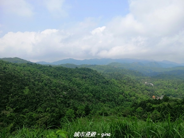 IMG_20210402_123636.jpg IMG_20210402_123636.jpg