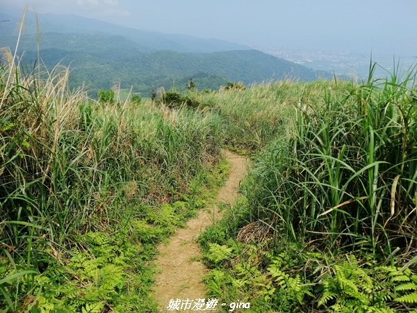 IMG_20210402_130256.jpg IMG_20210402_130256.jpg