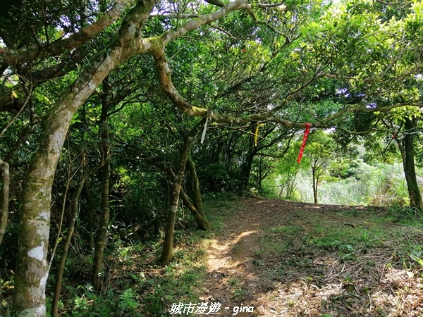 IMG_20210402_132314.jpg IMG_20210402_132314.jpg