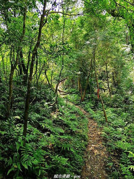 IMG_20210402_131736.jpg IMG_20210402_131736.jpg