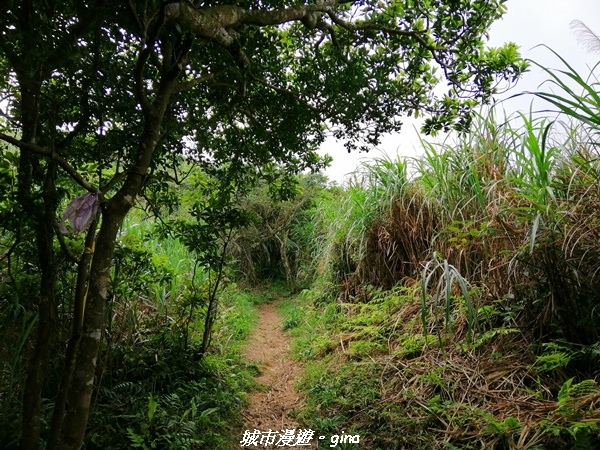 IMG_20210402_134050.jpg IMG_20210402_134050.jpg