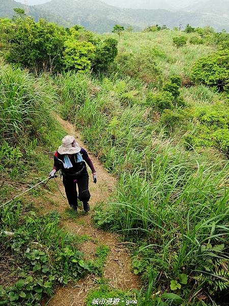 IMG_20210402_134325.jpg IMG_20210402_134325.jpg