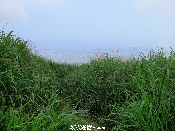 IMG_20210402_140258.jpg IMG_20210402_140258.jpg