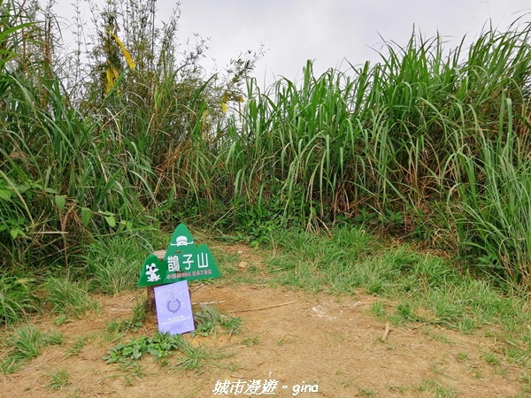 IMG_20210402_140017.jpg IMG_20210402_140017.jpg