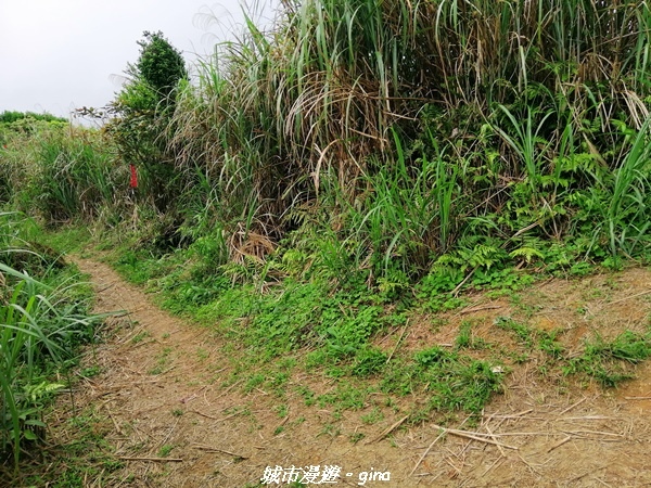 IMG_20210402_141108.jpg IMG_20210402_141108.jpg