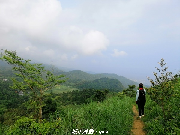 IMG_20210402_143637.jpg IMG_20210402_143637.jpg