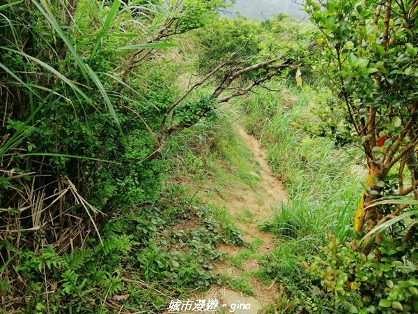 IMG_20210402_141544.jpg IMG_20210402_141544.jpg