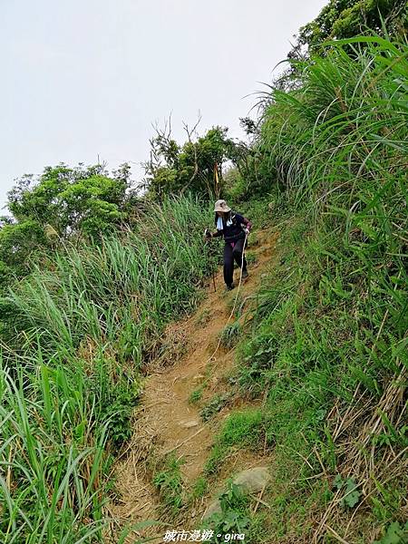 IMG_20210402_141648.jpg IMG_20210402_141648.jpg