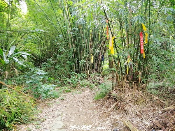 IMG_20210402_145416.jpg IMG_20210402_145416.jpg