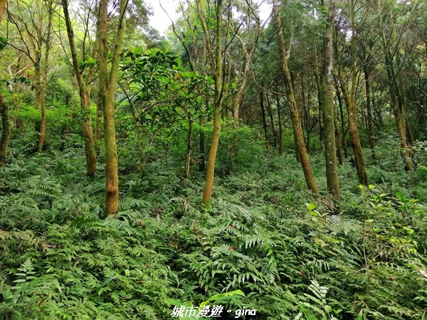 IMG_20210402_145121.jpg IMG_20210402_145121.jpg