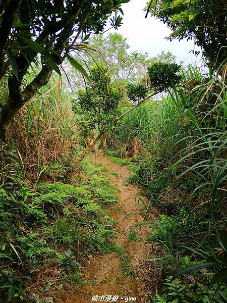 IMG_20210402_141220.jpg IMG_20210402_141220.jpg