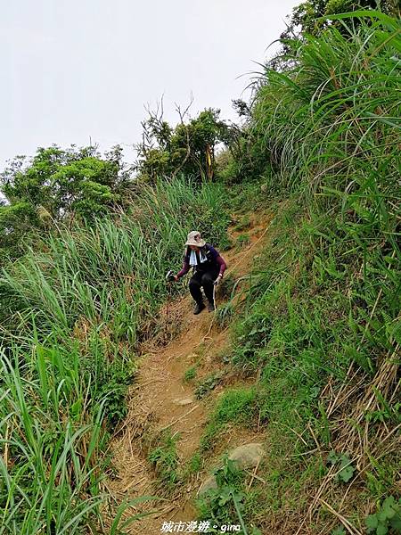 IMG_20210402_141653.jpg IMG_20210402_141653.jpg