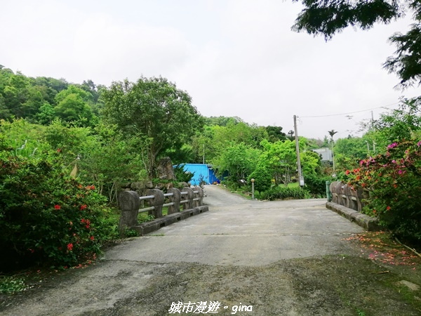 IMG_20210402_145430.jpg IMG_20210402_145430.jpg