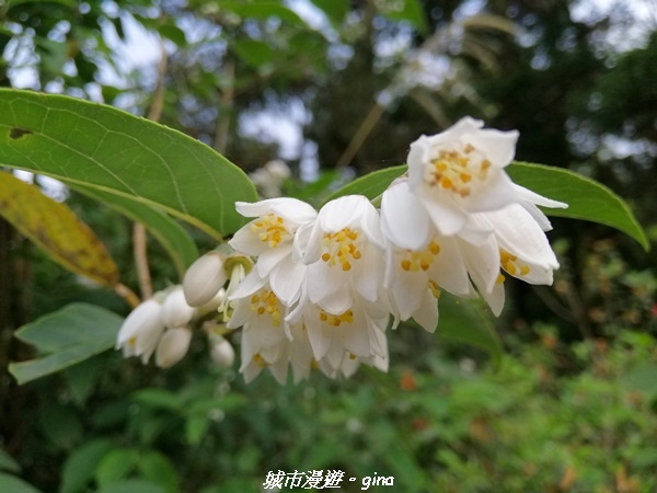 IMG_20210402_145524.jpg IMG_20210402_145524.jpg