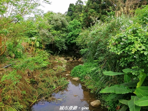 IMG_20210402_145450.jpg IMG_20210402_145450.jpg