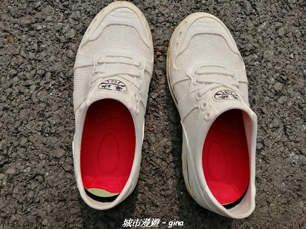 IMG_20210402_150204.jpg IMG_20210402_150204.jpg