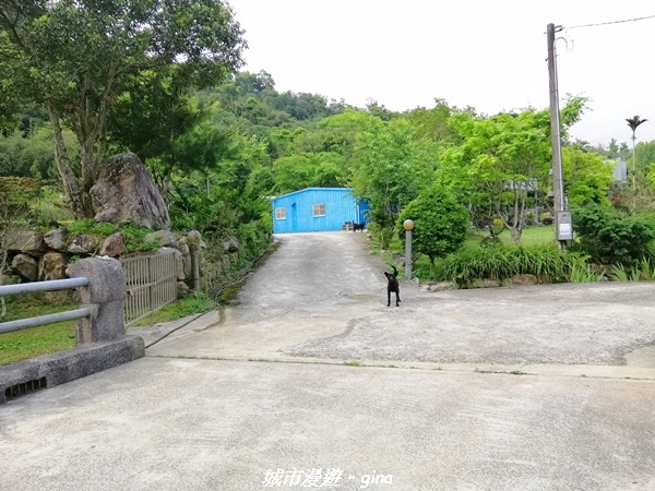 IMG_20210402_145602.jpg IMG_20210402_145602.jpg