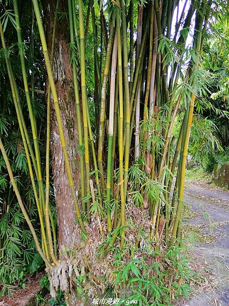 IMG_20210402_145748.jpg IMG_20210402_145748.jpg