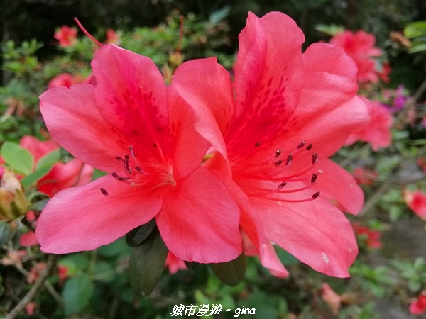 IMG_20210402_145530.jpg IMG_20210402_145530.jpg