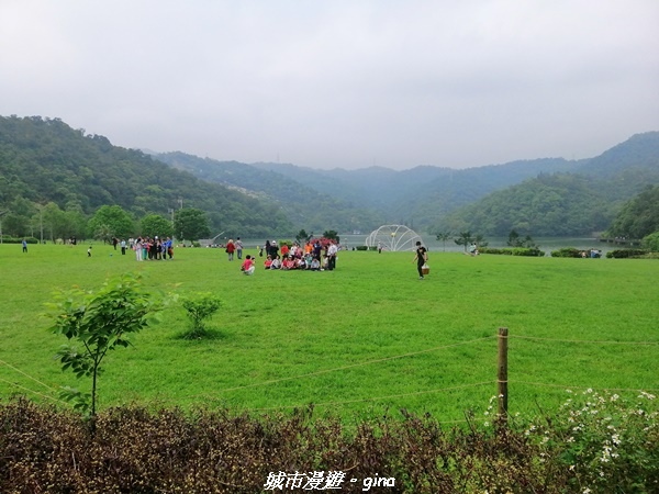 IMG_20210402_160051.jpg IMG_20210402_160051.jpg