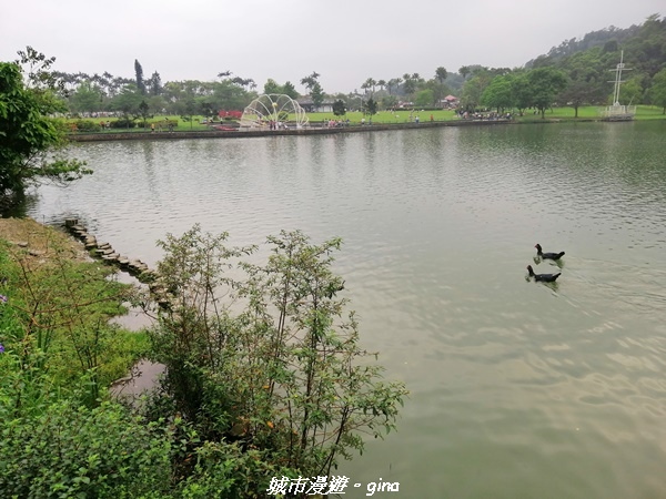 IMG_20210402_160601.jpg IMG_20210402_160601.jpg