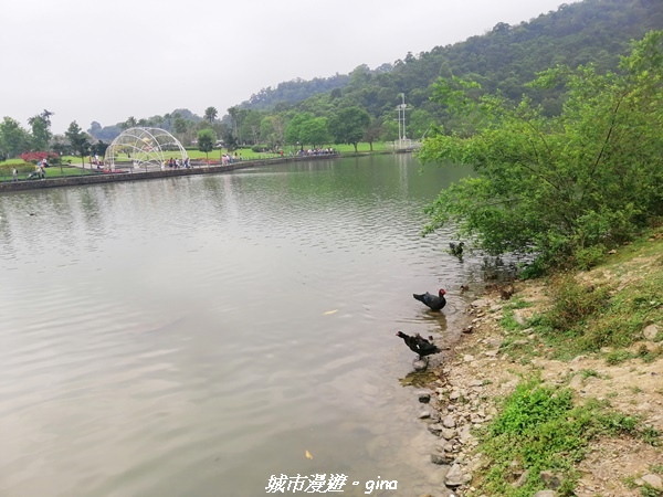 IMG_20210402_160653.jpg IMG_20210402_160653.jpg