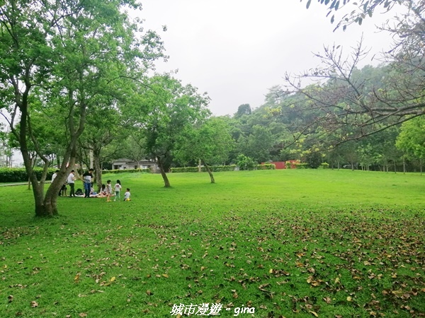 IMG_20210402_161025.jpg IMG_20210402_161025.jpg