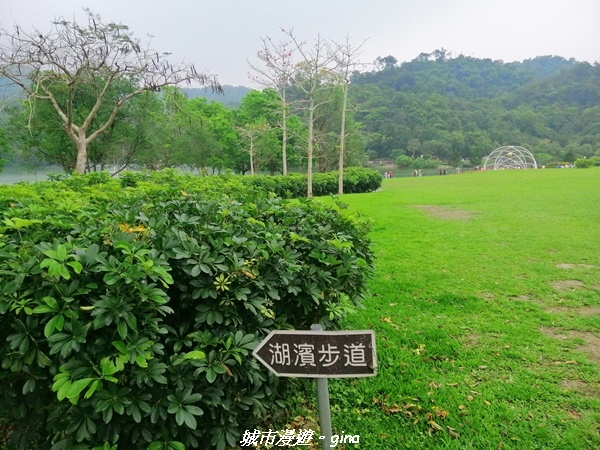 IMG_20210402_161320.jpg IMG_20210402_161320.jpg