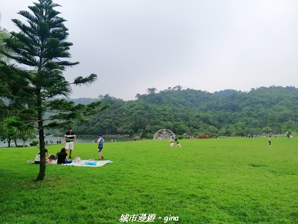 IMG_20210402_161352.jpg IMG_20210402_161352.jpg