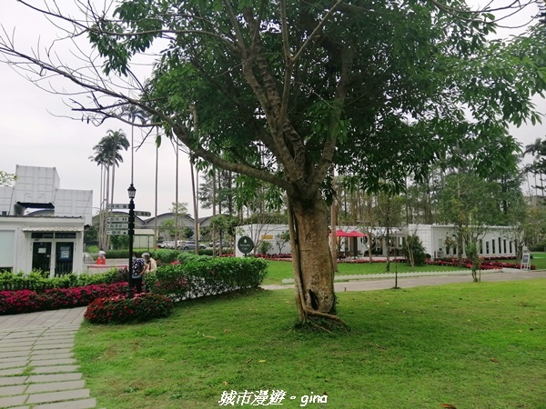 IMG_20210402_162420.jpg IMG_20210402_162420.jpg