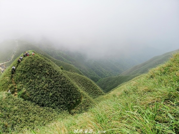 【宜蘭礁溪】朝聖抹茶山沒那麼容易。 No83小百岳~三角崙山