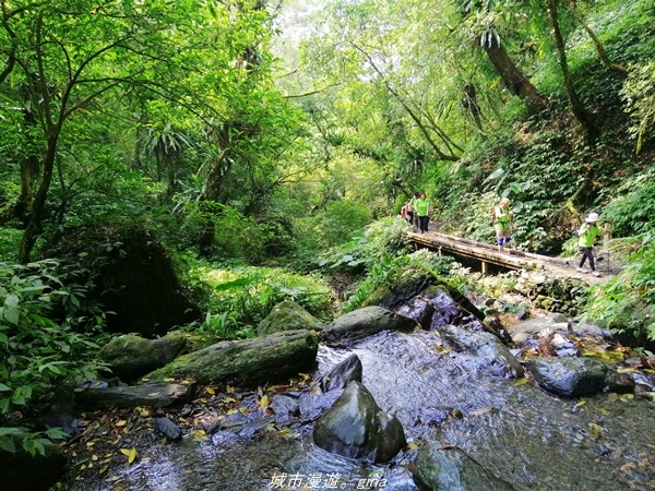 【宜蘭礁溪】朝聖抹茶山沒那麼容易。 No83小百岳~三角崙山