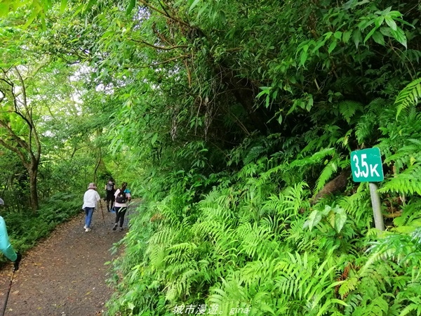 【宜蘭礁溪】朝聖抹茶山沒那麼容易。 No83小百岳~三角崙山