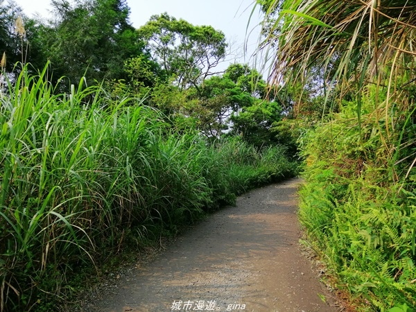 【宜蘭礁溪】朝聖抹茶山沒那麼容易。 No83小百岳~三角崙山