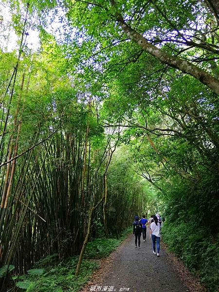 【宜蘭礁溪】朝聖抹茶山沒那麼容易。 No83小百岳~三角崙山