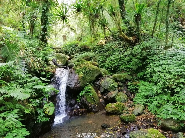 【宜蘭礁溪】朝聖抹茶山沒那麼容易。 No83小百岳~三角崙山