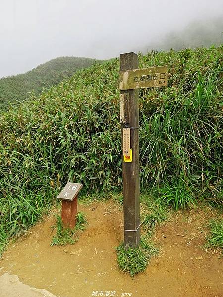 【宜蘭礁溪】朝聖抹茶山沒那麼容易。 No83小百岳~三角崙山