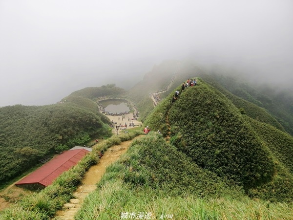 【宜蘭礁溪】朝聖抹茶山沒那麼容易。 No83小百岳~三角崙山