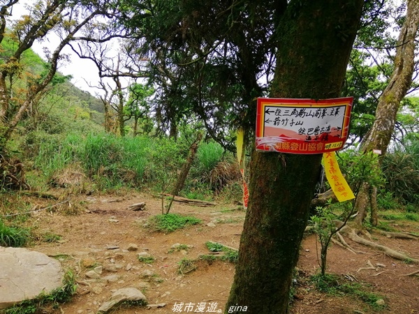 【宜蘭礁溪】朝聖抹茶山沒那麼容易。 No83小百岳~三角崙山