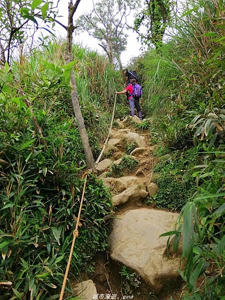 【宜蘭礁溪】朝聖抹茶山沒那麼容易。 No83小百岳~三角崙山